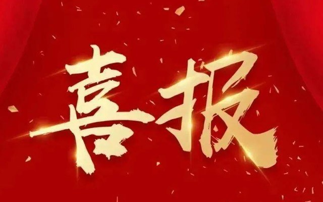 恭喜总经理李洋洋入选河南省青年联合会委员
